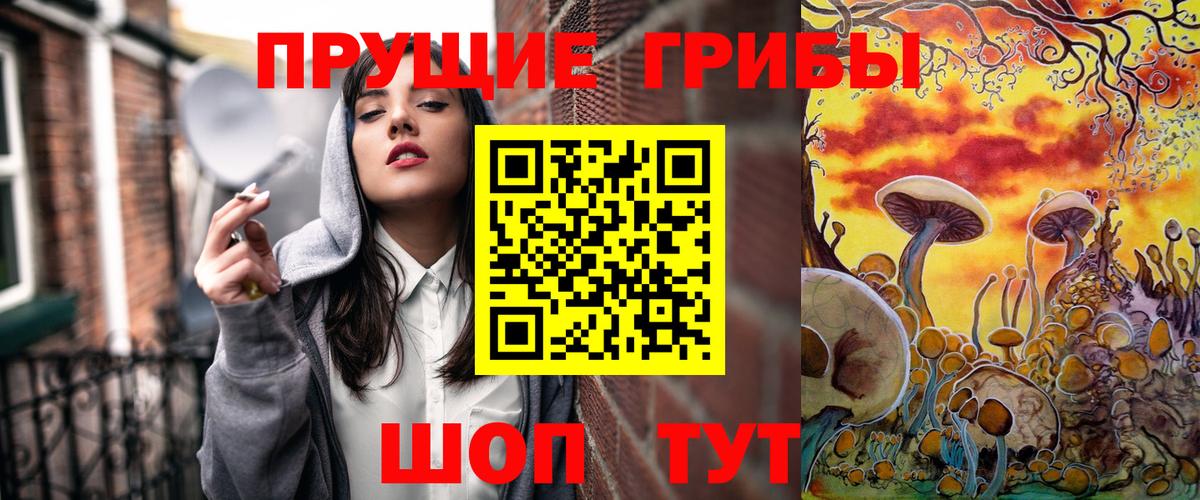 Шуя  Псилоцибиновые грибы прущие грибы  Вход с VPN 