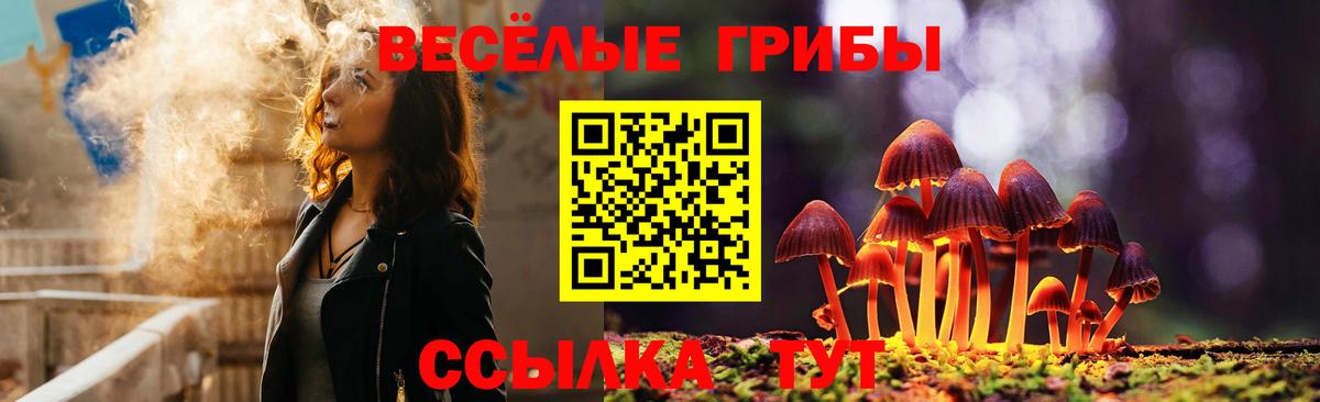 Галлюциногенные грибы мухоморы Шуя